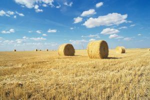 Why Put a Farm in an LLC